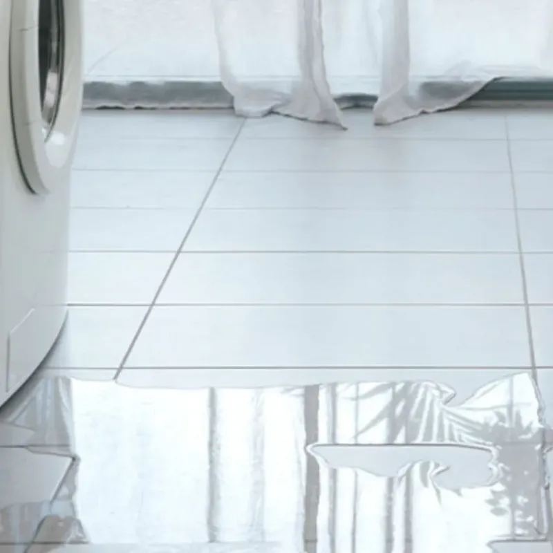 Appliance Leak Cleanup in Jersey County, IL