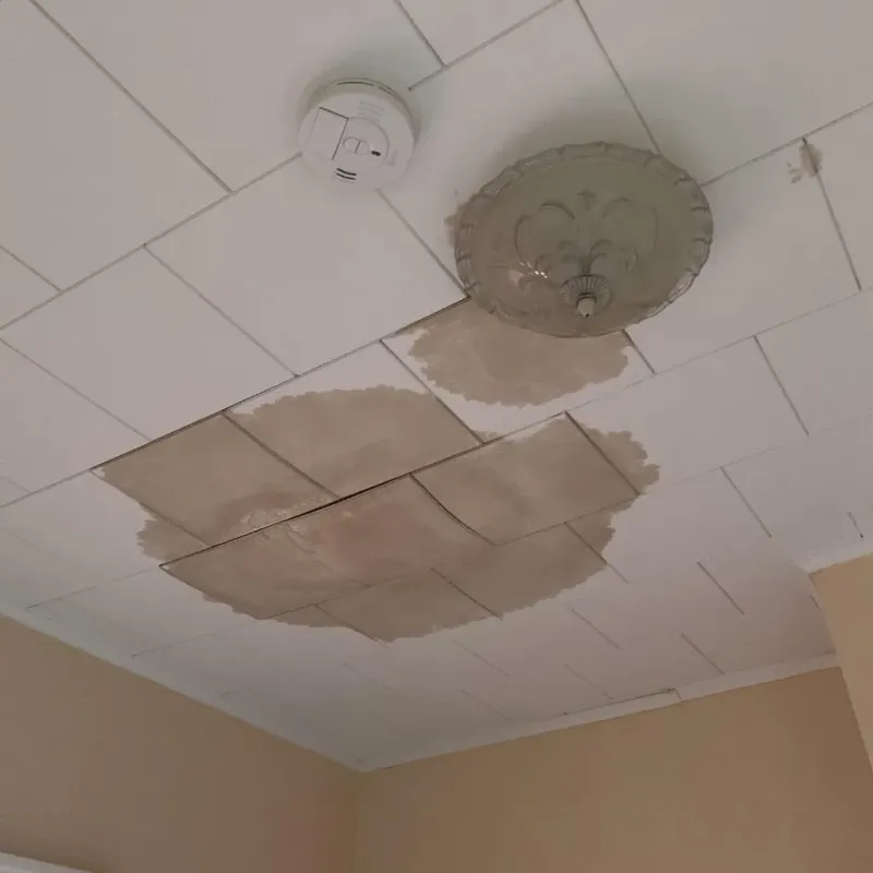 Ceiling Water Damage Repair in Jersey County, IL