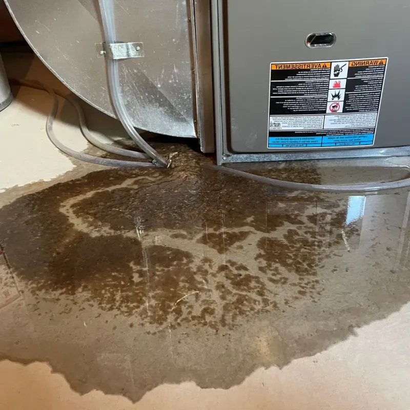 Pipe Burst and Leak Restoration in Jersey County, IL