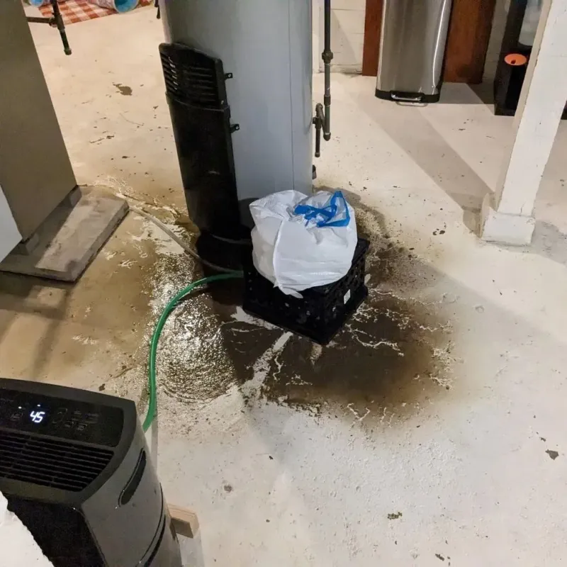 Sewage Backup Cleanup Service in Jersey County, IL